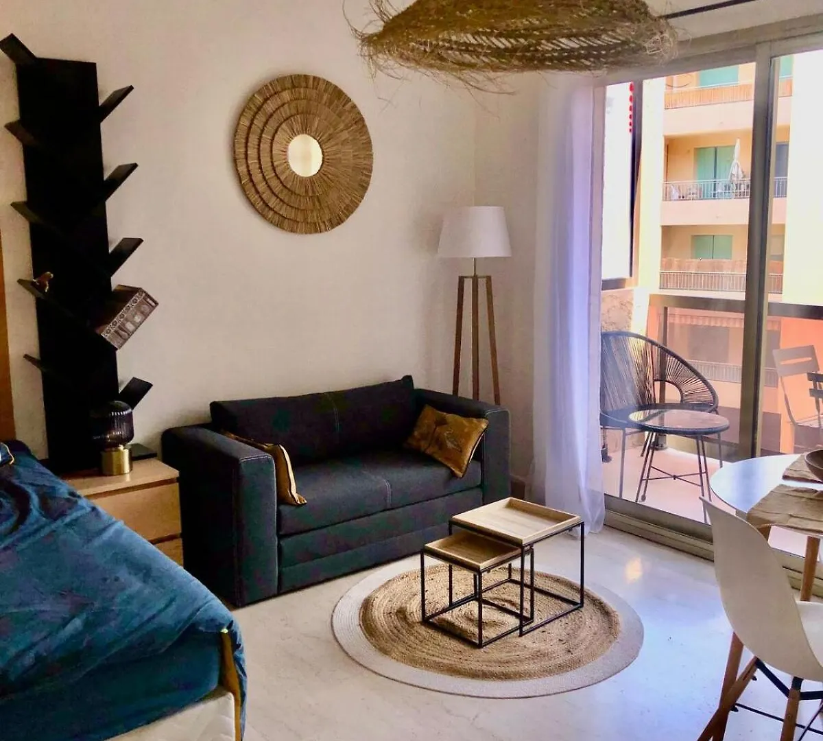 Grand Studio Terrasse Climatise Central Et Calme Saint-Raphael  Apartment